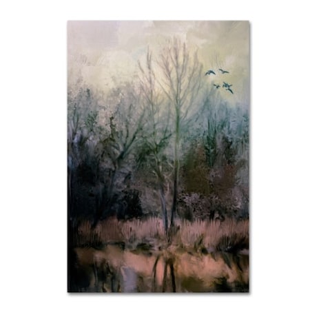 Jai Johnson 'Morning At Fairground Swamp' Canvas Art,30x47